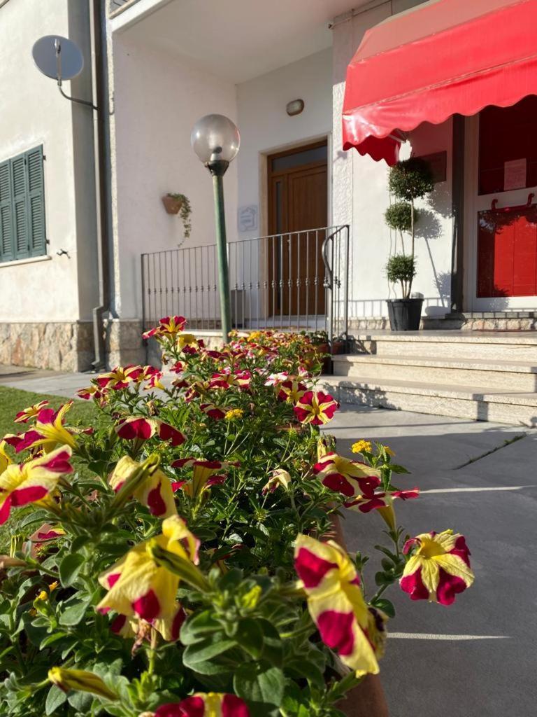 Appartamento L'Edera 圣斯泰法诺迪马格拉 外观 照片